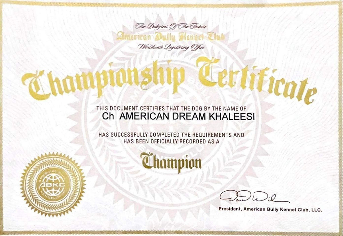 Питомник американских булли American Dream