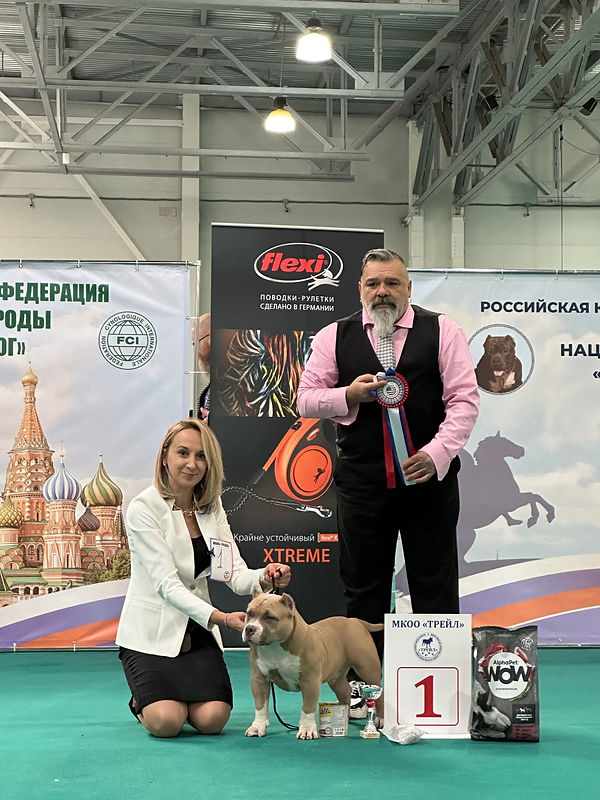 Питомник американских булли American Dream